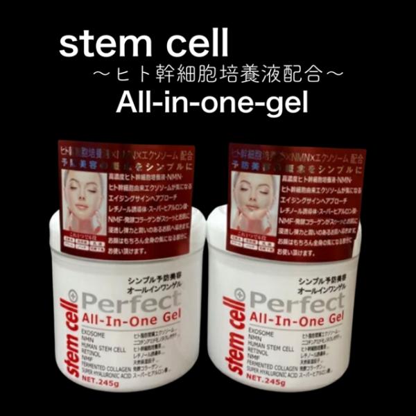 ステムセル パーフェクトオールインワンゲル245g 2個セット ヒト