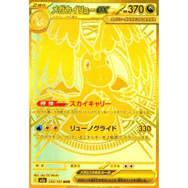 ryuunoshippo_240821208