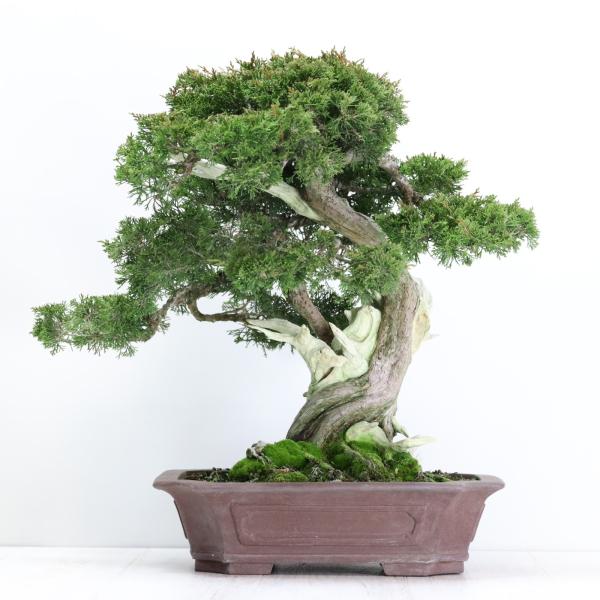 wabi-sabi_100812ag
