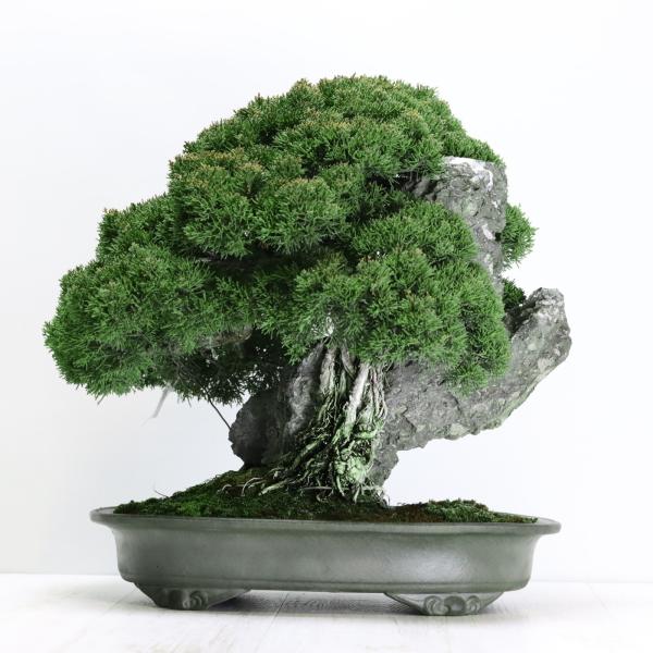 wabi-sabi_101112ag
