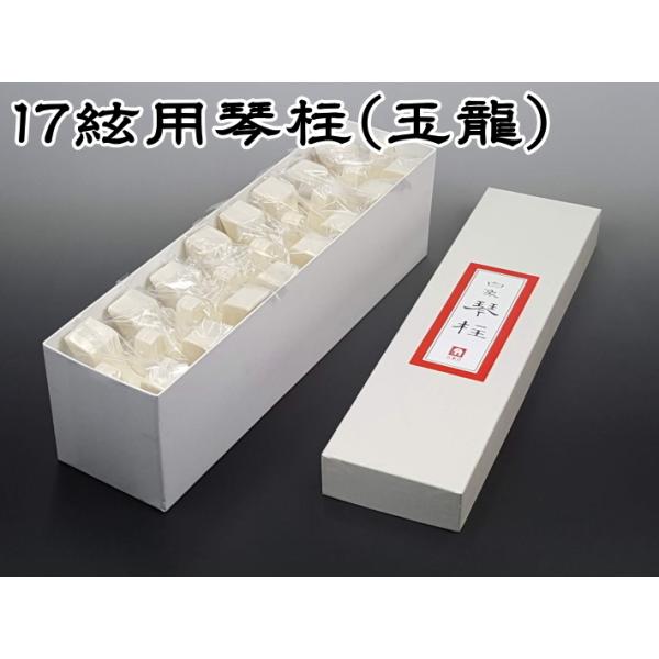 wagakki-ichiba_wgs-10020g