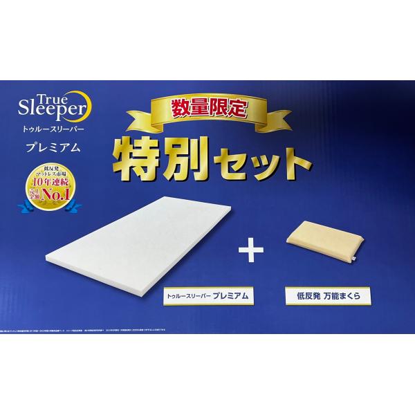 トゥルースリーパー（True Sleeper） 期間限定特別セット 低反発まくら