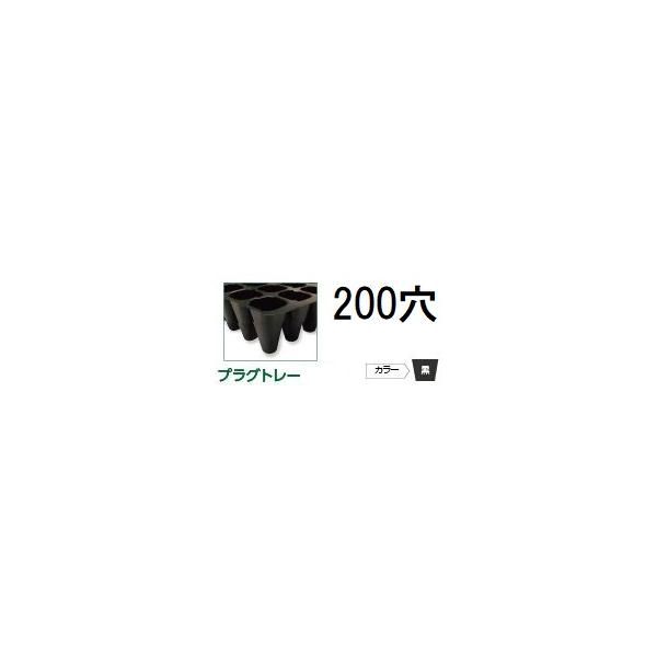 100枚入) 育苗トレー プラグトレー PP 200穴 リブ付き 黒 589×300×44