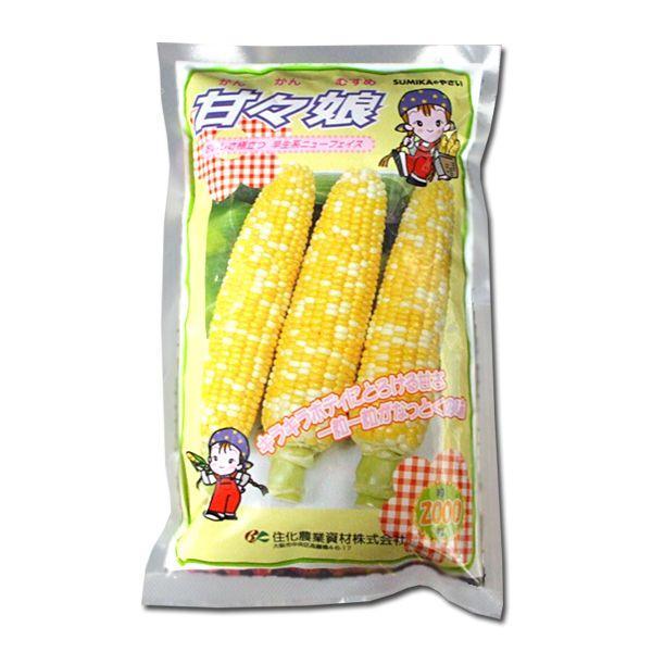 大特価！】野菜の種/種子 甘々娘・かんかんむすめ・とうもろこし