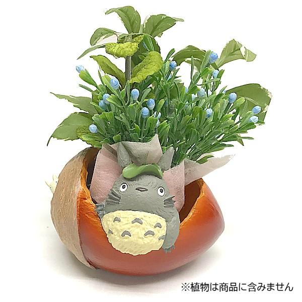スタジオジブリ となりのトトロ プランターカバー どんぐりさいたよ