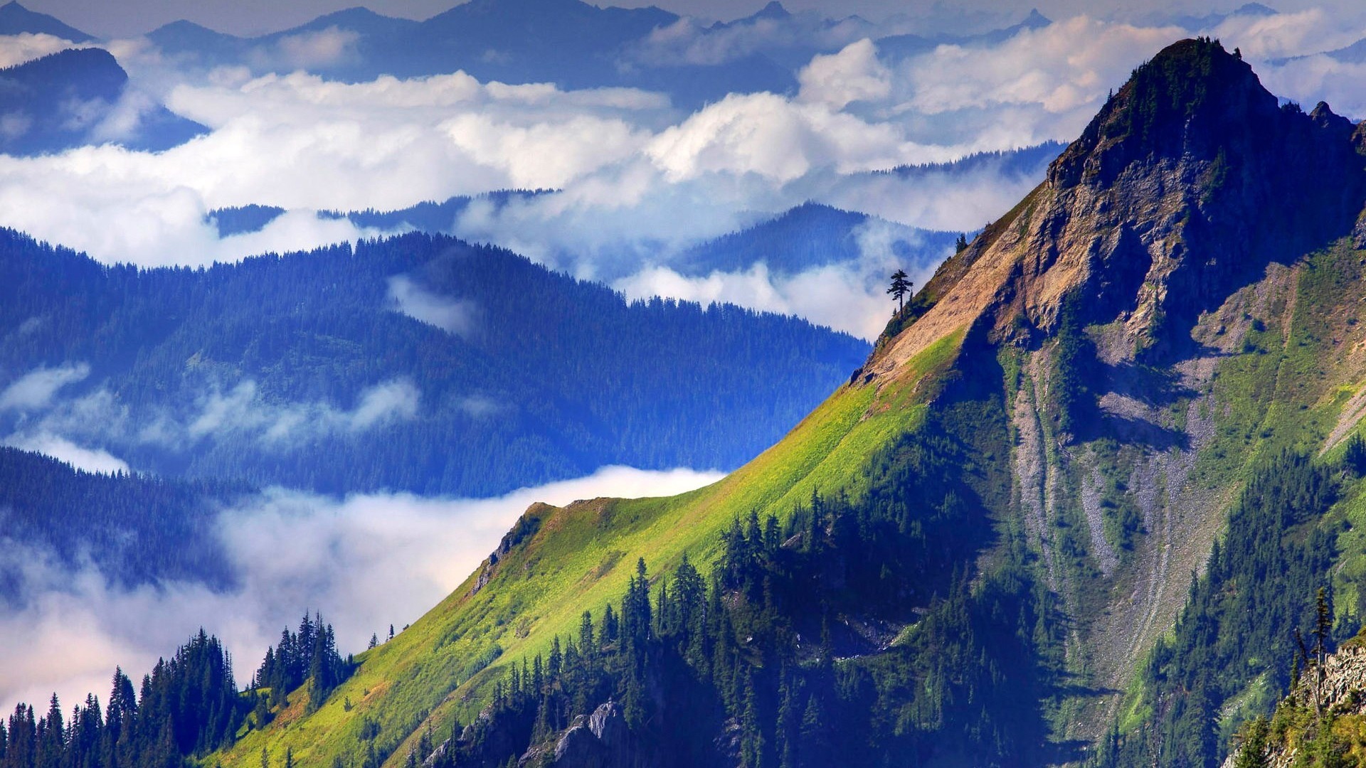 Free photo: Mountain View - Adventure, Outdoors, Park - Free