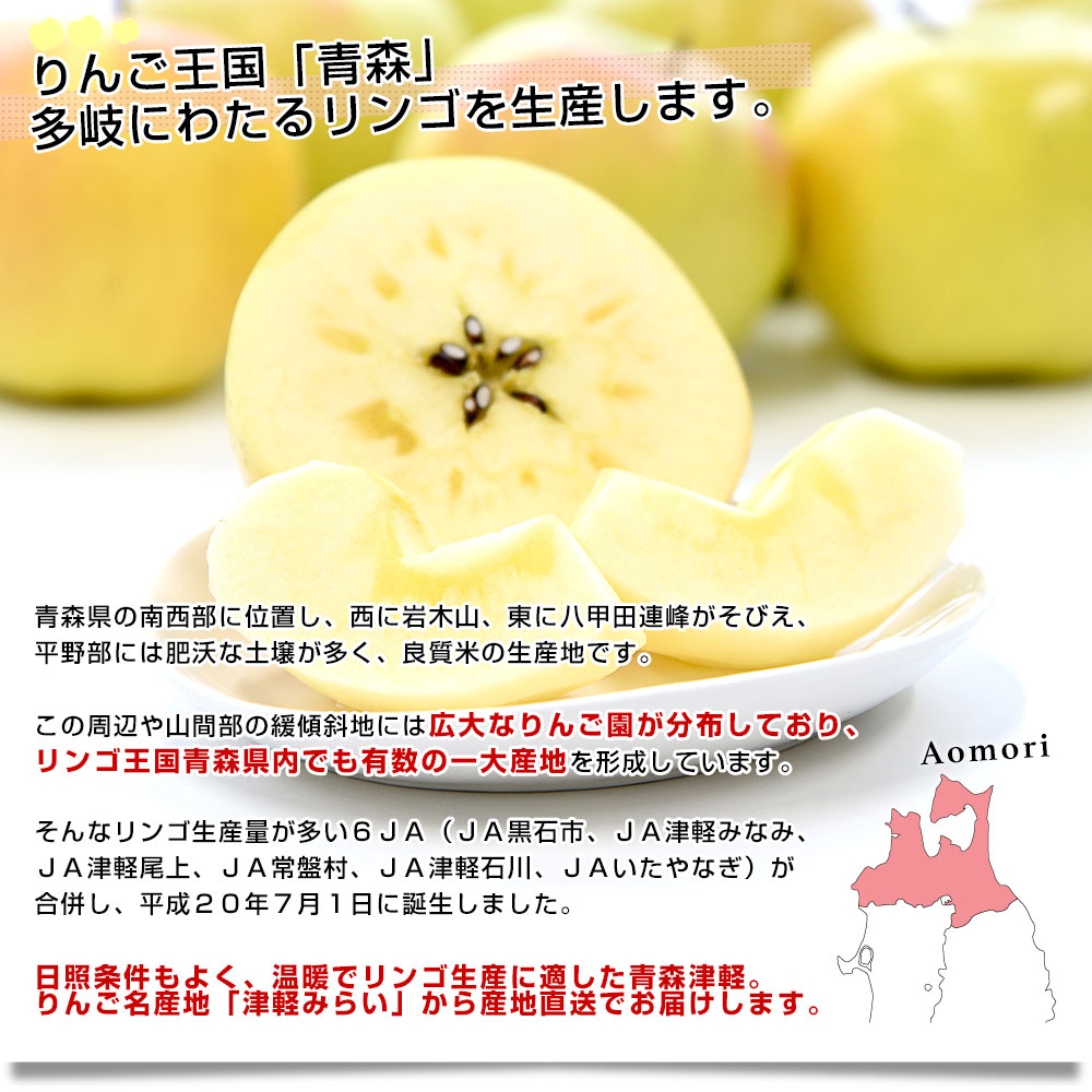 青森県 JA津軽みらい こうこう 約3キロ(8玉から11玉入り) 特A 送料無料