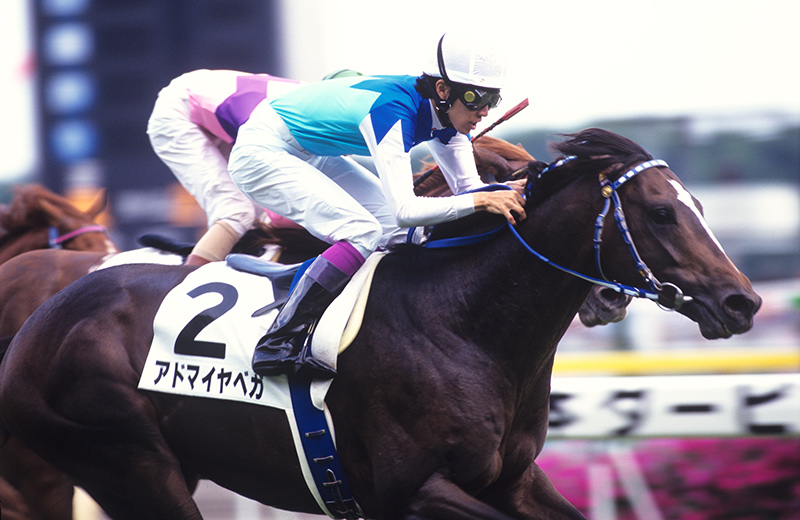 アドマイヤベガ｜名馬メモリアル｜競馬情報ならJRA-VAN