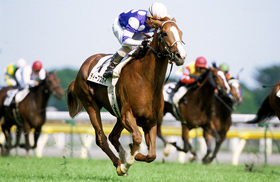 エーシンフォワード｜名馬メモリアル｜競馬情報ならJRA-VAN