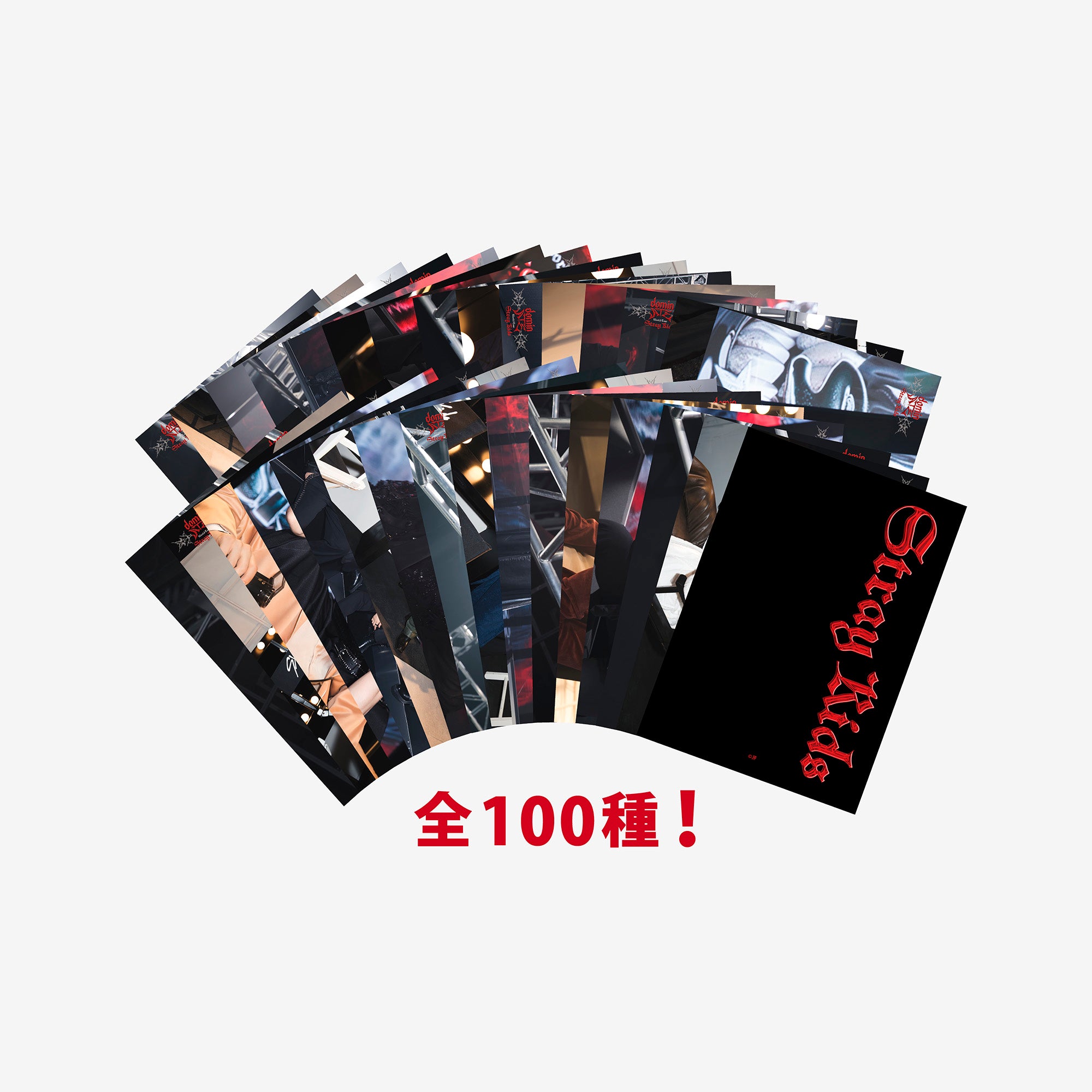RANDOM TRADING CARD / Stray Kids『Stray Kids World Tour ＜dominATE