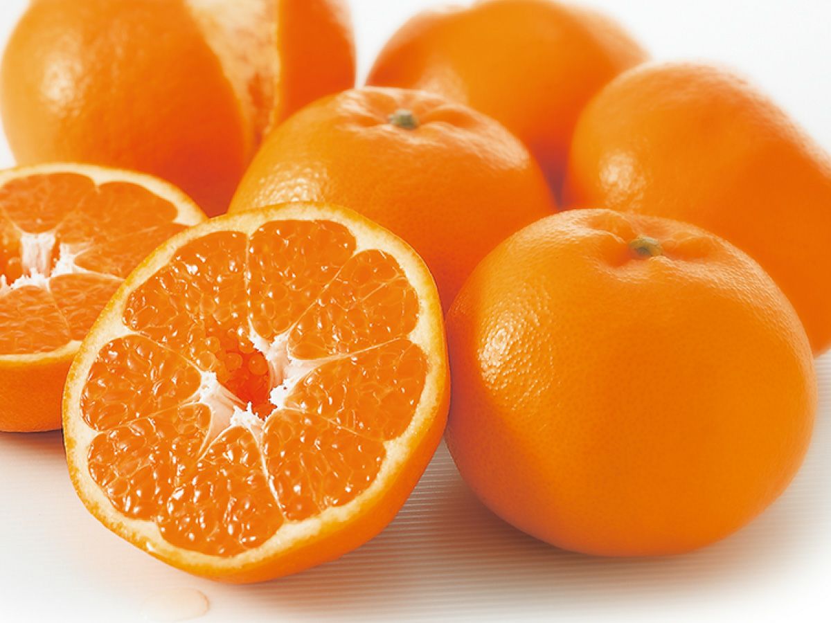 はるみ約3kg-家庭用 | のま果樹園