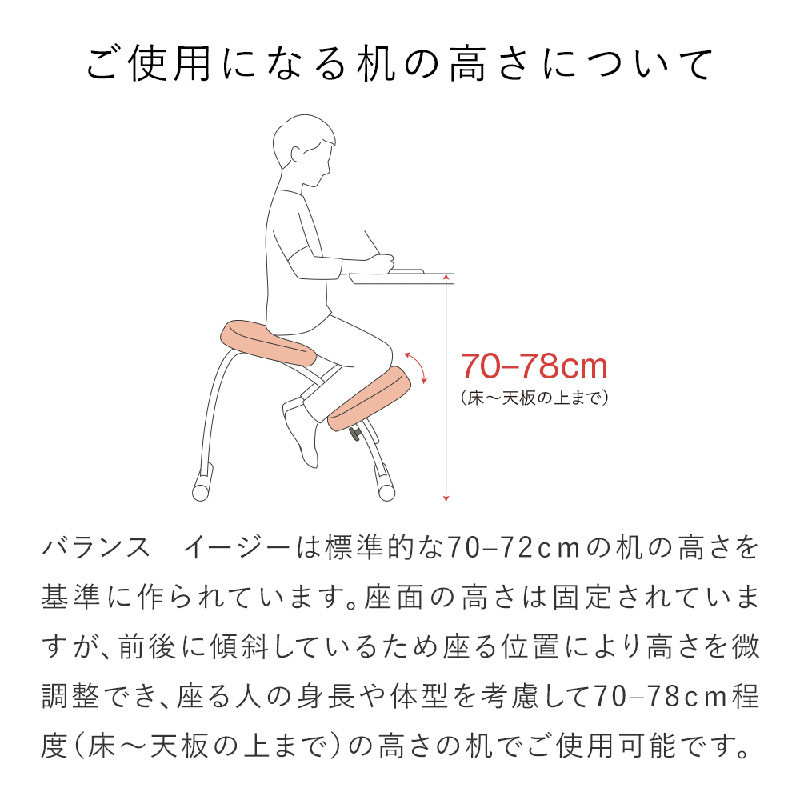 バランスラボ バランス イージー (通常フレーム) ラクに姿勢がよくなる