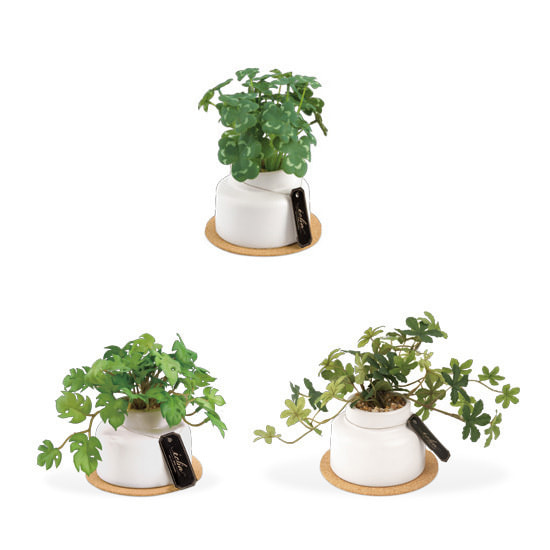 消臭アーティフィシャルグリーン｜ECLIA GREENERY LIFE(エクリア