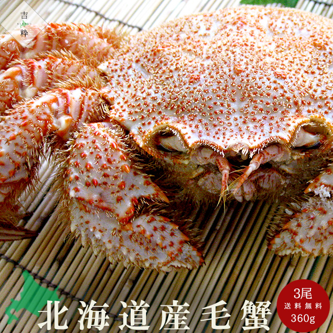 毛蟹(360g)×3尾 | 吉粋(きっすい) 北海道から全国へ
