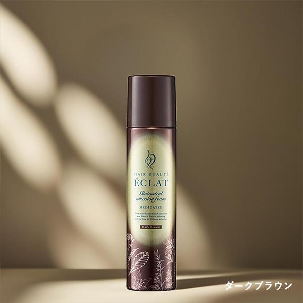 2/23限定！10％OFF】ヘアボーテ エクラ ボタニカルエアカラーフォーム