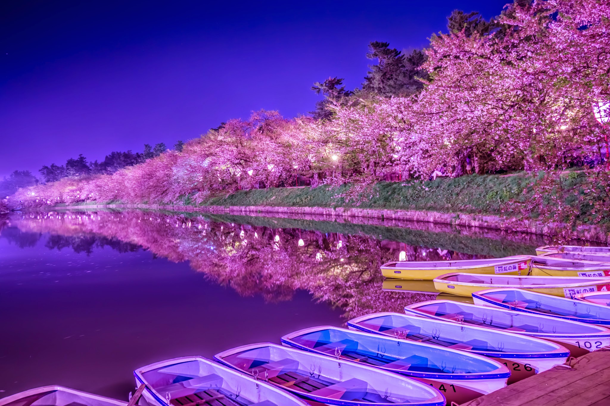 ライトアップされた弘前公園の夜桜〜散り際ゆえの美しさ | KOSUBLOG