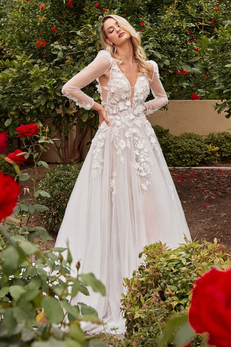 CDS436W | LONG SLEEVES – Ladivine by Cinderella Divine | Shop
