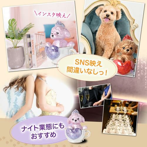 送料無料 正規品 ブランデー 箱付き ティーカッププードル デキャンタ