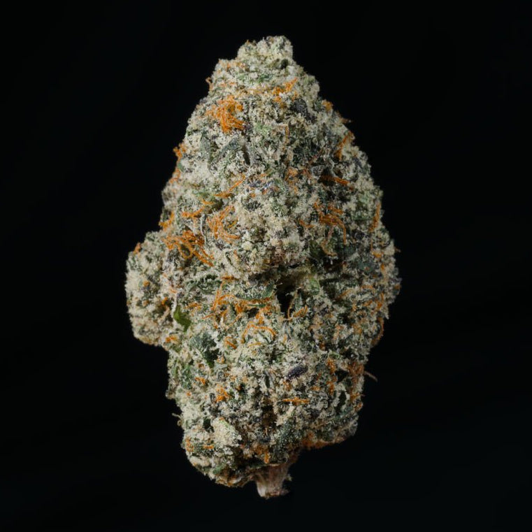 Lemon Cherry Gelato THCA Flower – Lost In Translation