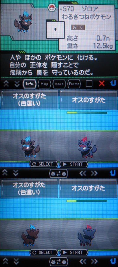 色違いゾロア、タマゴが孵ってGETだぜ！ : 有栖のポケモン日記