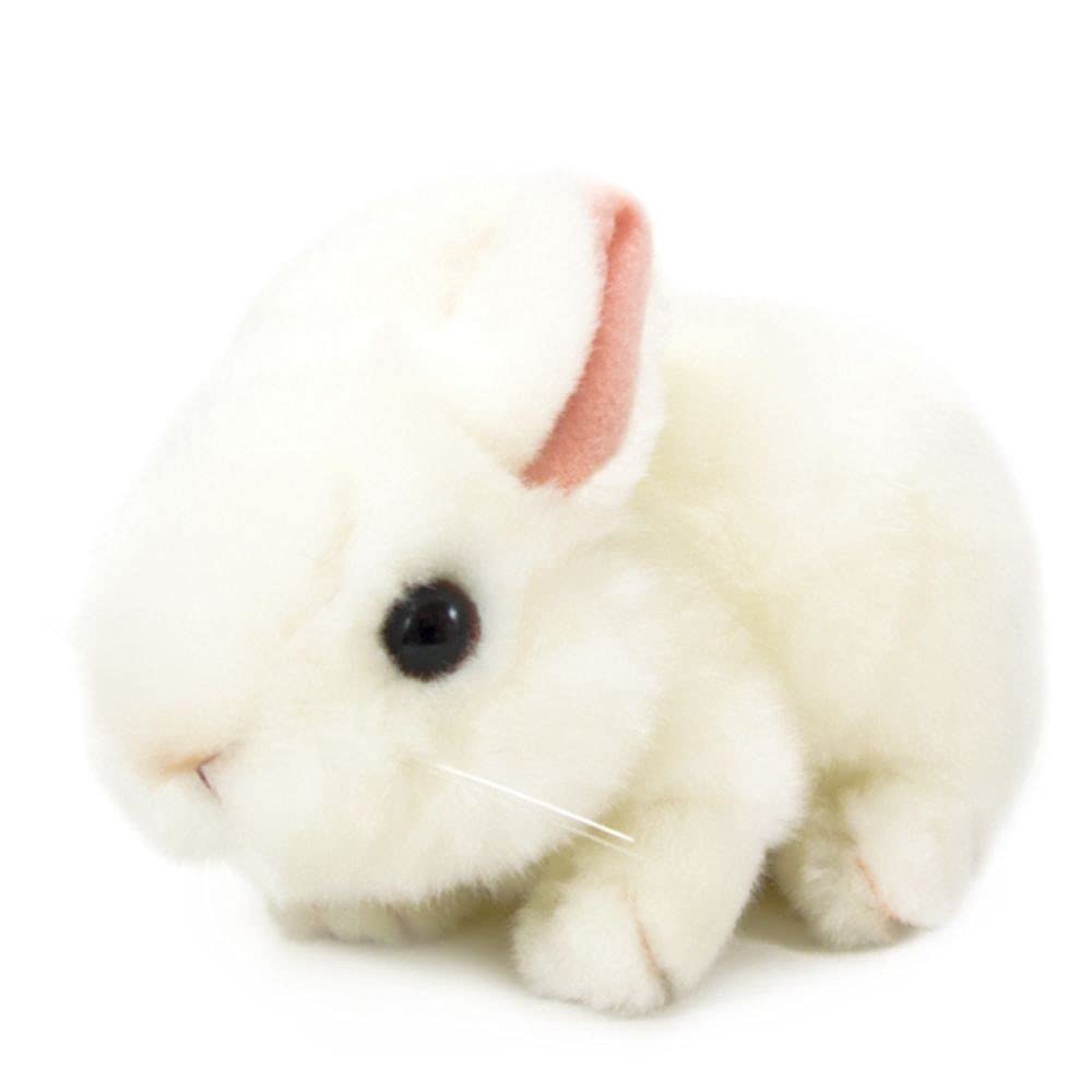 Amazon.co.jp: 吉徳 りくのなかまたち ぬいぐるみ ウサギ ホワイト