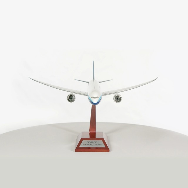 Amazon.com: Boeing Unified 787-9 Dreamliner 1:200 Model : Arts