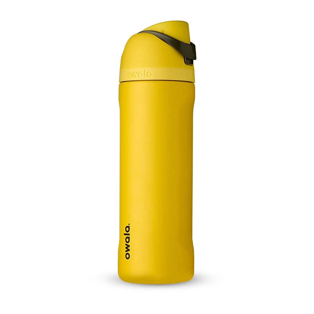 Amazon.com: Owala Harry Potter FreeSip Insulated Stainless Steel