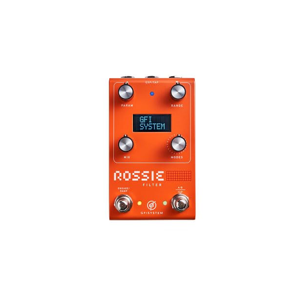 Amazon.co.jp: GFI SYSTEM ROSSIE (ロッシー) フィルター FILTER