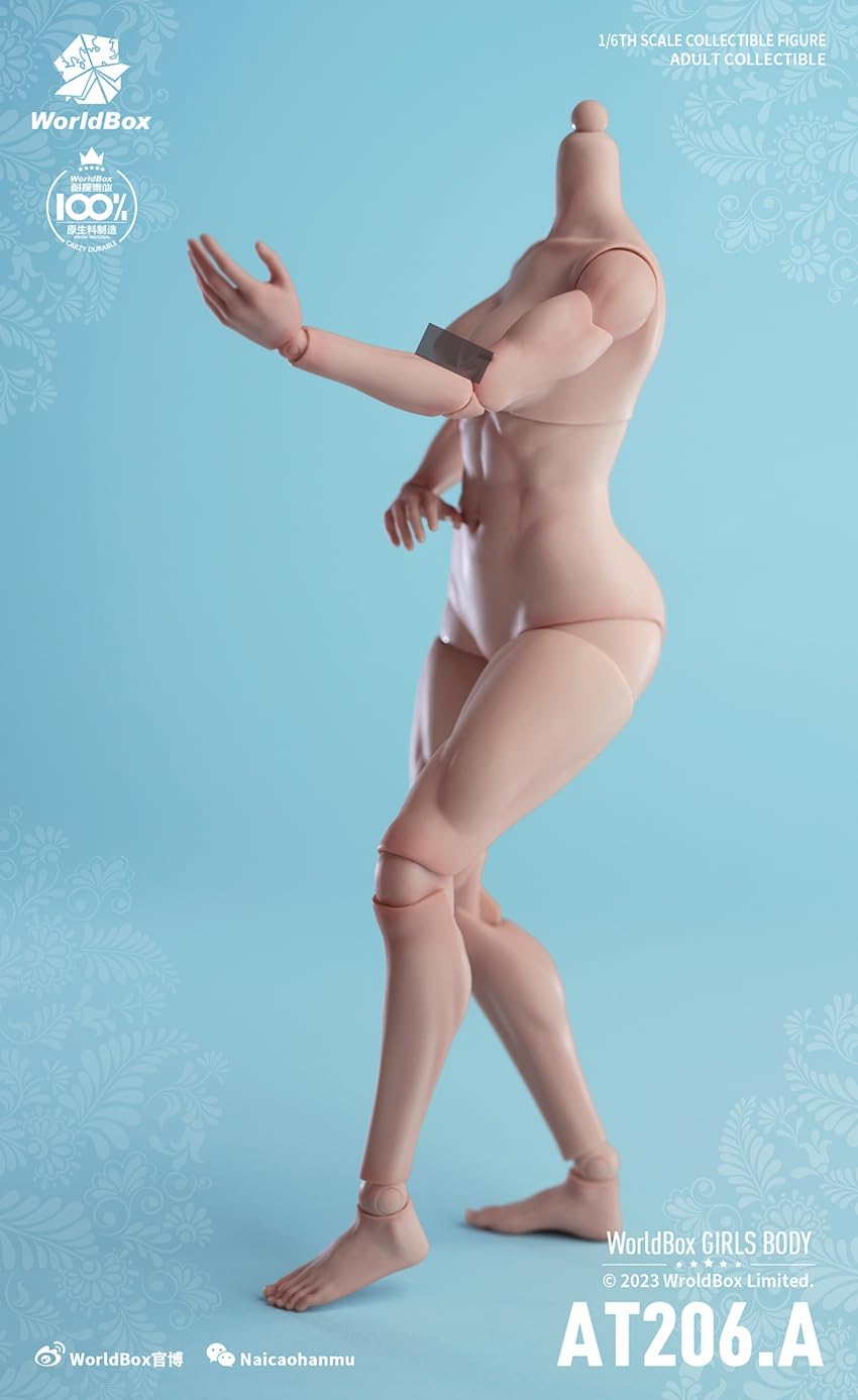 Amazon.co.jp: [Tbmodel] Worldbox 1/6 フィギュア 女性 筋肉 関節 素