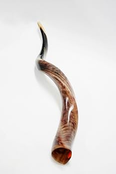 Amazon | Full-Polished Yemenite Shofar 【Jumbo(111-119cm)】 ショ