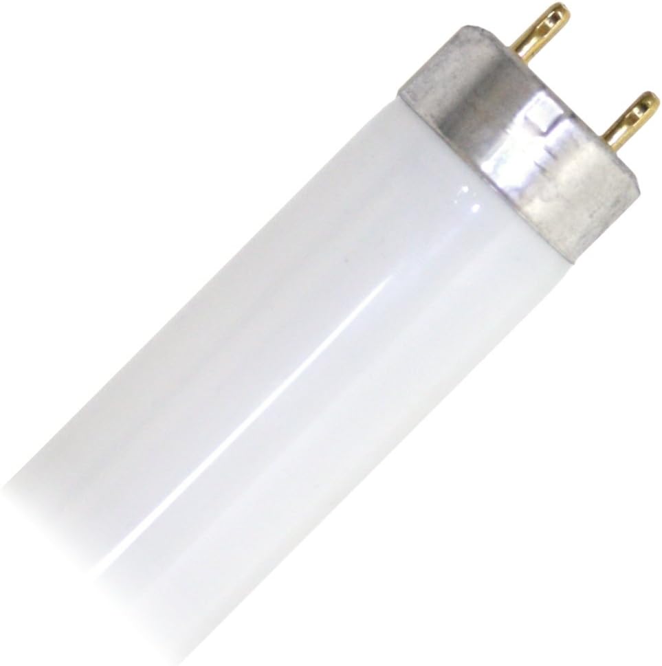 VALIEM JICARA BUTTERFLY 新品未使用 VALIEM JICARA BUTTERFLY 陶器鉢