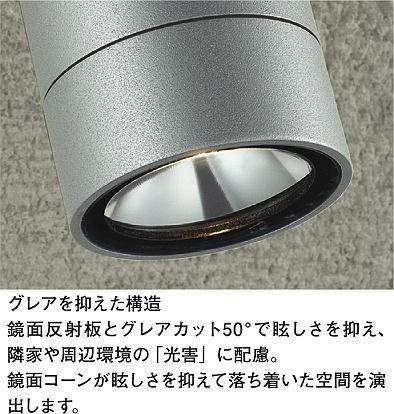 Amazon | 大光電機 DAIKO LEDアウトドアスポットライト LED内蔵 LED