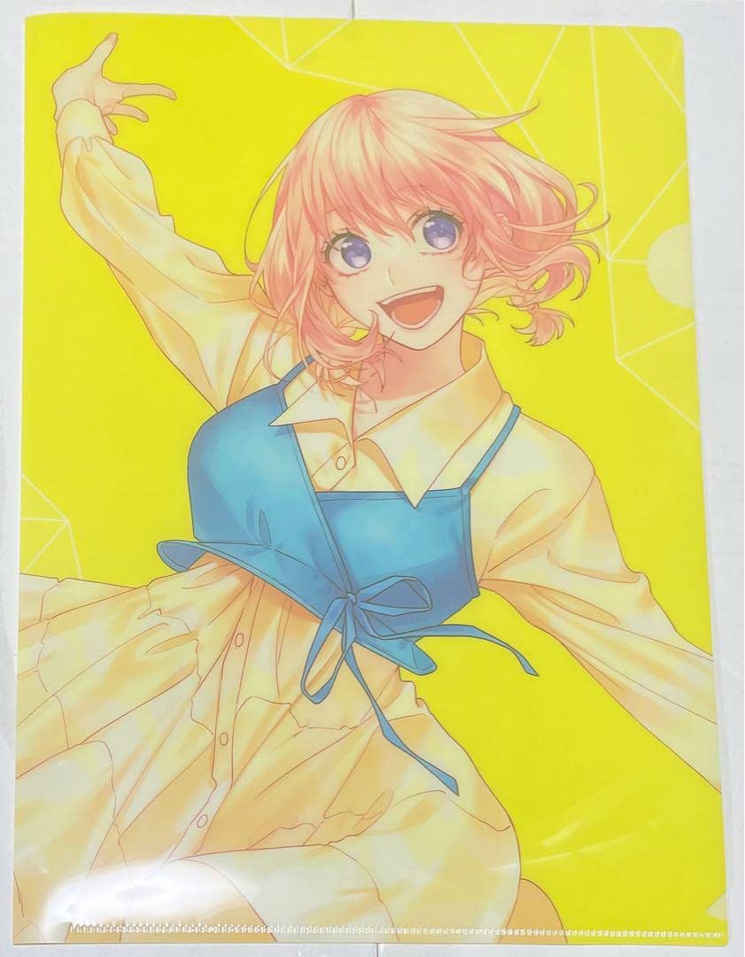 Amazon.co.jp: 瀬戸口雛 HoneyWorks A4クリアファイル ヒロインたる