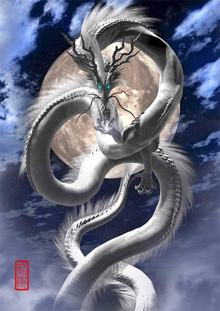 Amazon.co.jp: 龍の絵 「月光の白龍1」 A4 竜の絵 : ホーム＆キッチン