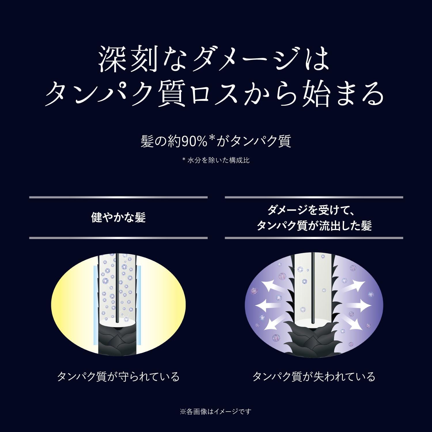 Amazon | NEXXUS(ネクサス) スムースアンドマネージャブル シャンプー