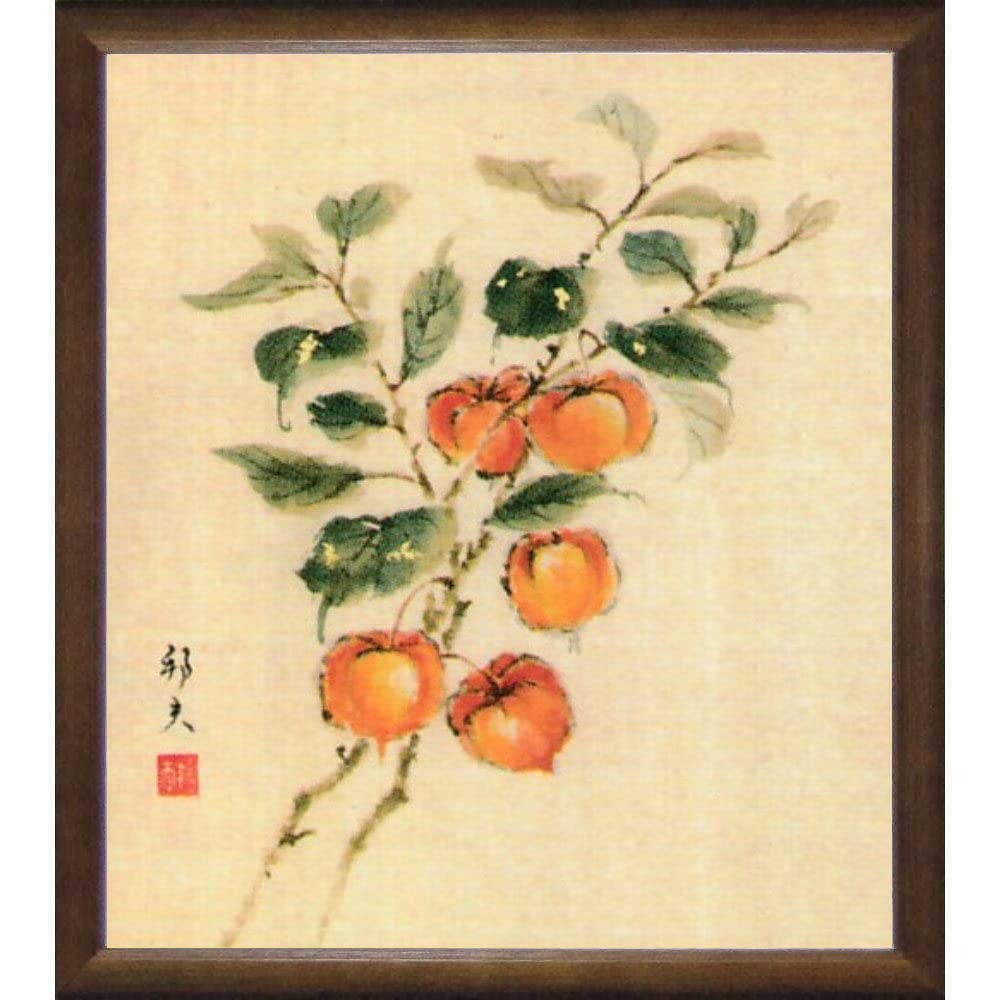 Amazon.co.jp: 片山邦夫 ほおずき 色紙 ブラウン 日本画 静物画 鬼灯