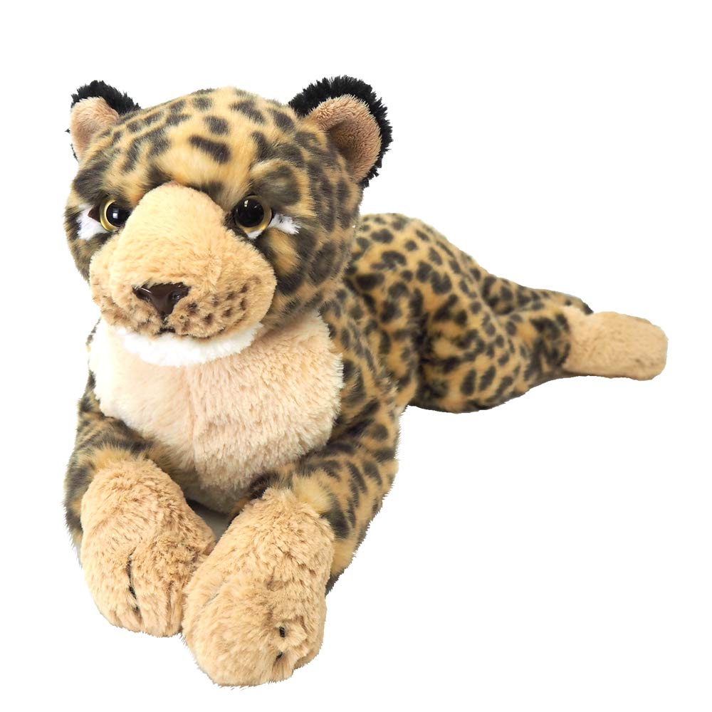 Amazon.co.jp: ひざひょう ぬいぐるみ Mサイズ : おもちゃ