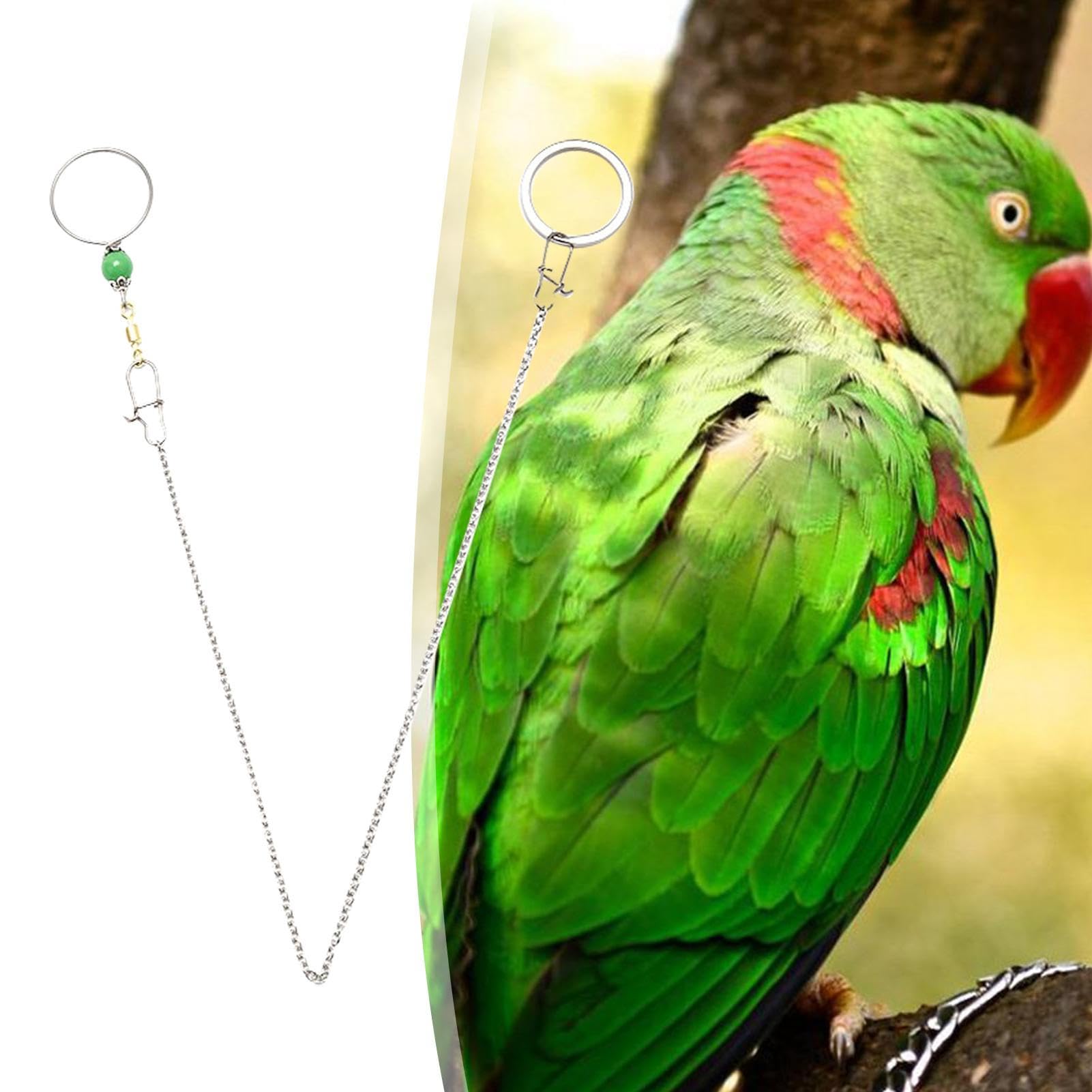 Amazon.co.jp: 鳥首輪チェーン,オウムの足のチェーン - インコ用の8