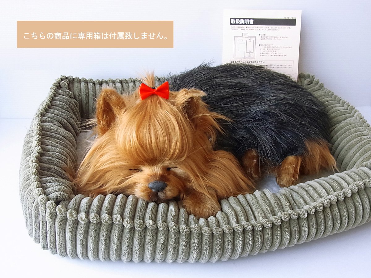 Amazon.co.jp: ニニアンドキノ パーフェクトペット (大サイズ