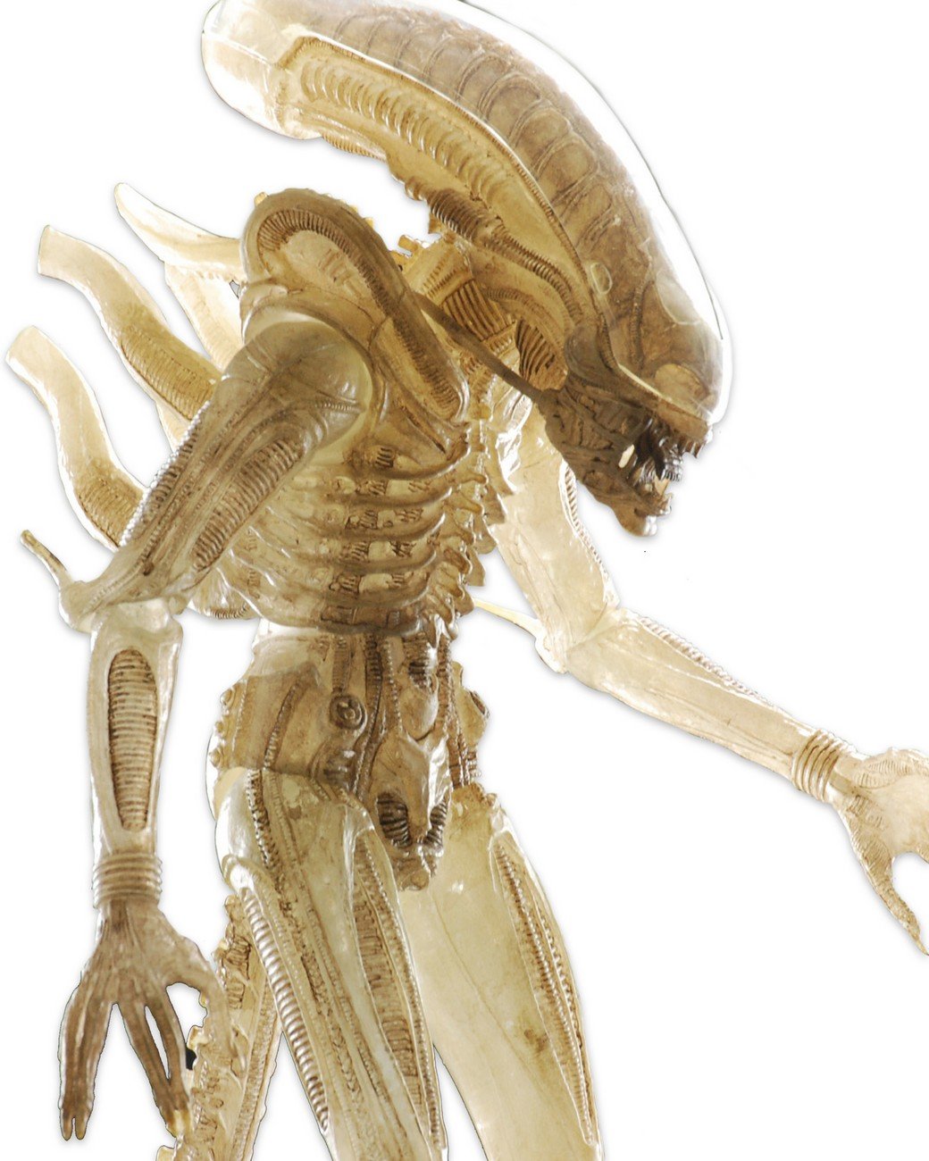 Amazon.co.jp: NECA エイリアン 1/4 スケール ビッグチャップ