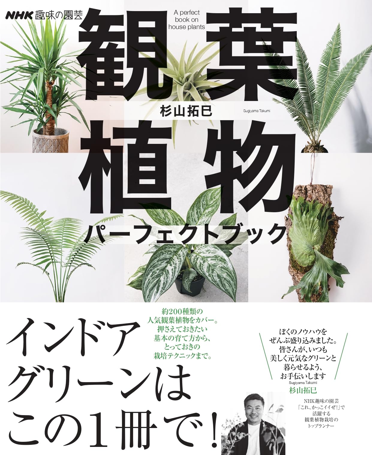 NHK趣味の園芸 観葉植物 パーフェクトブック (生活実用シリーズ