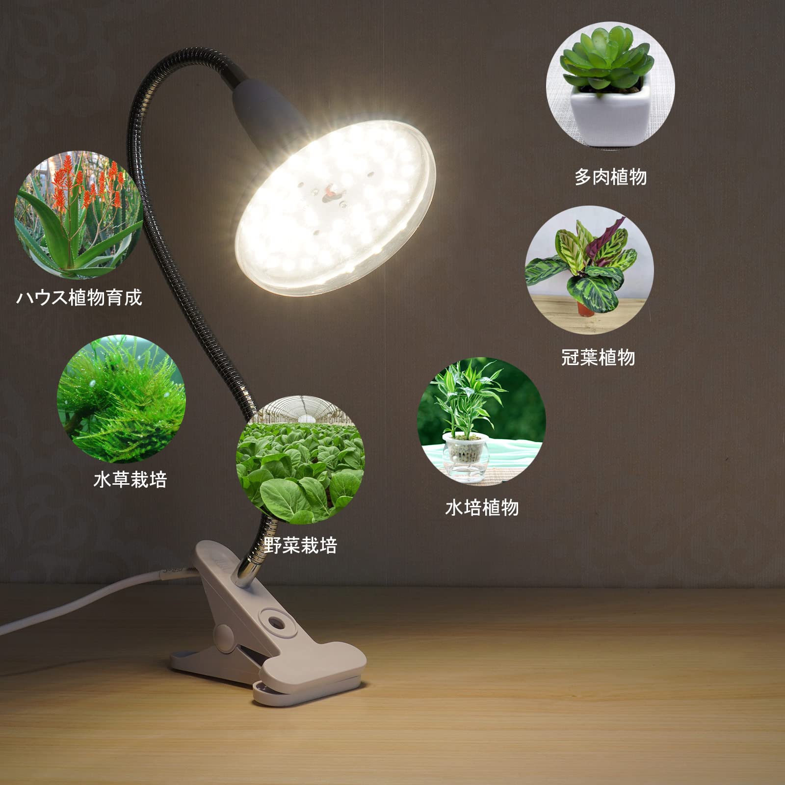 Amazon | 植物育成ライト 植物育成用ledライト 20W E26電球水耕栽培