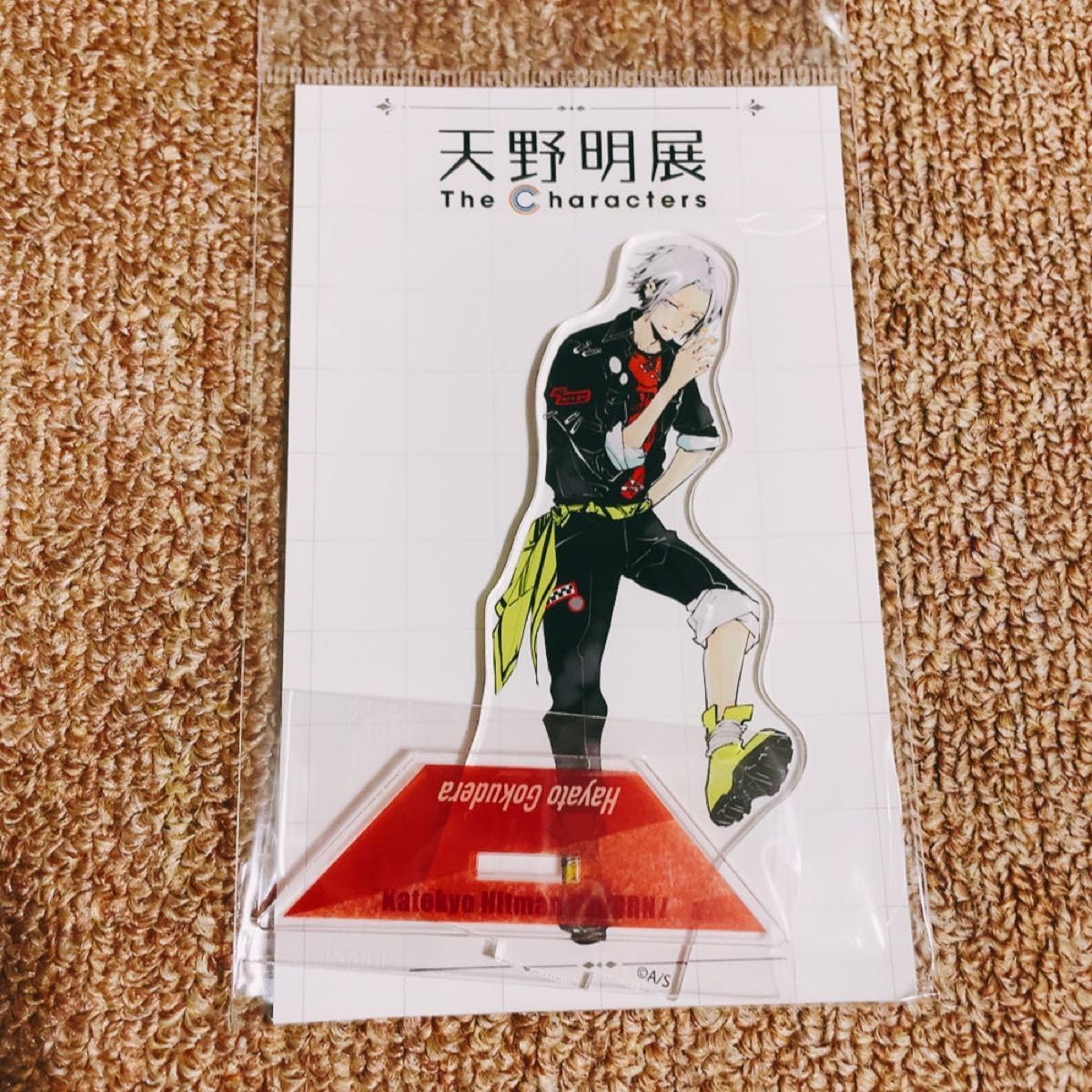 Amazon.co.jp: 天野明展家庭教師ヒットマンREBORNアクリルスタンド獄寺
