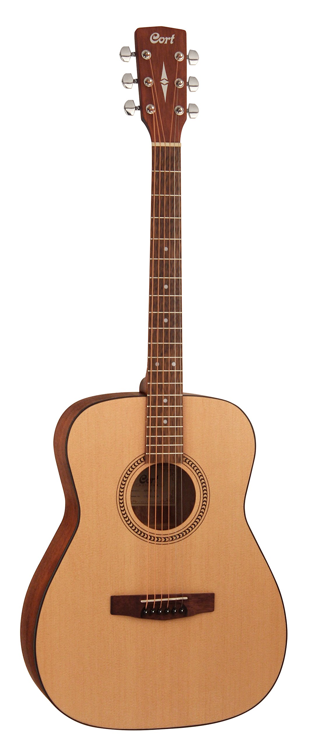 Amazon | Cort AF505/OP アコースティックギター コルト | スチール弦