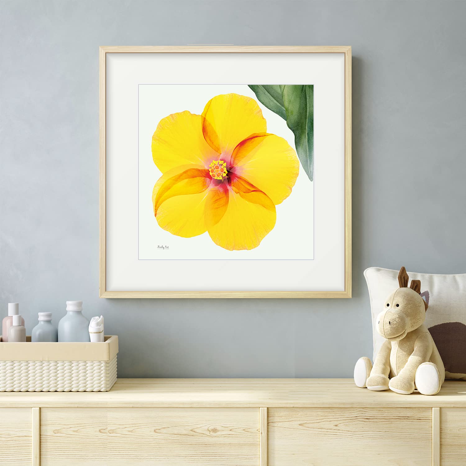 Amazon.co.jp: 絵画「真上からのハイビスカス」インテリア 絵 花