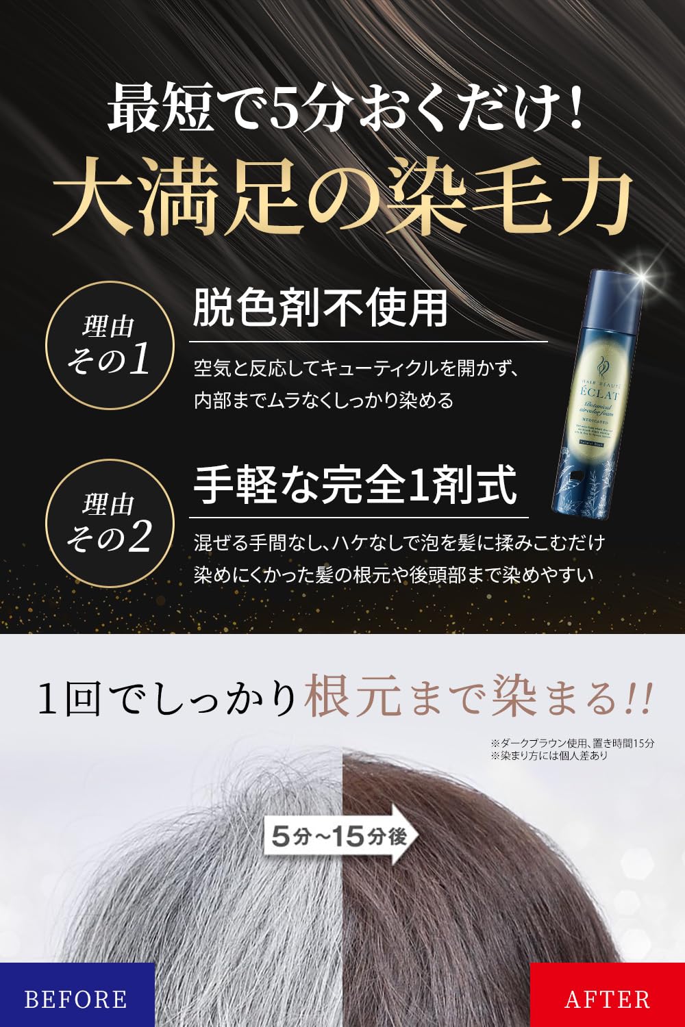 Amazon.co.jp: Hair Botanical Eclat Air Color Foam EX Natural Black