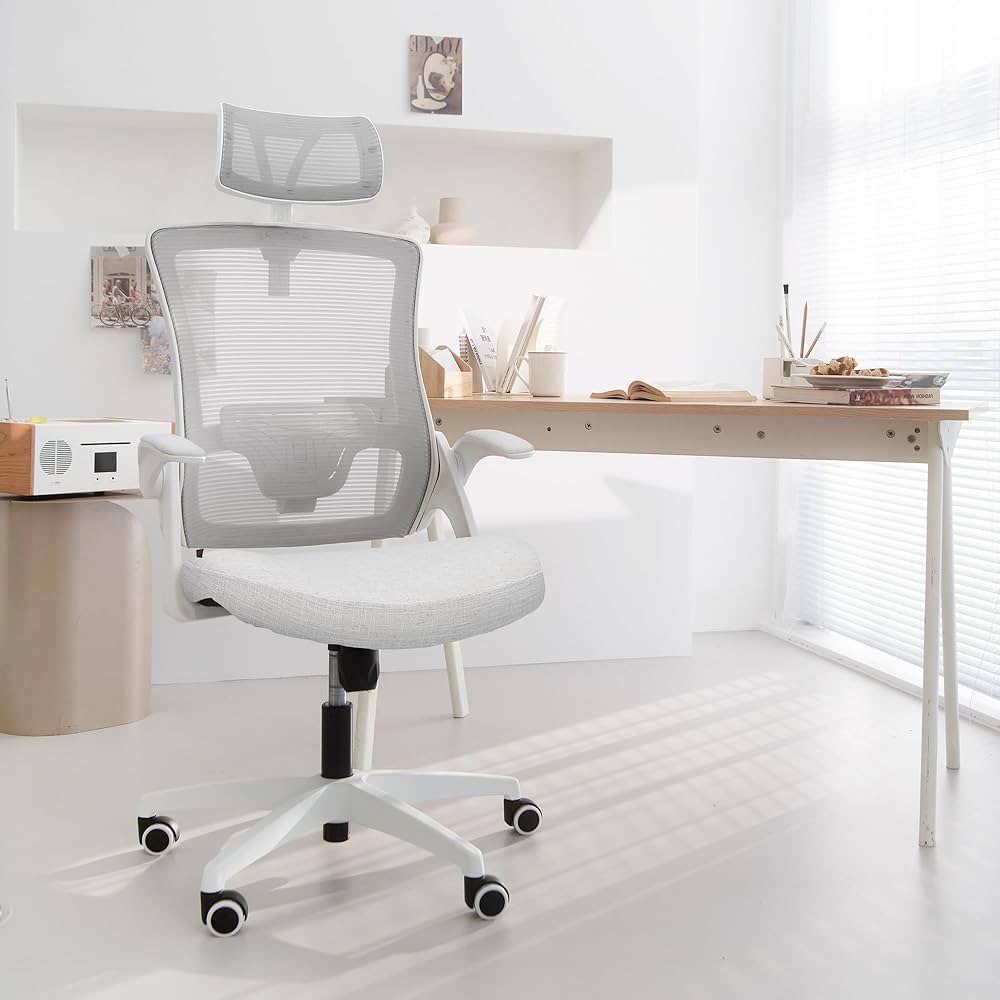 Amazon | 【3Dで支える2重メッシュ】NEOCHAIR オフィスチェア デスク