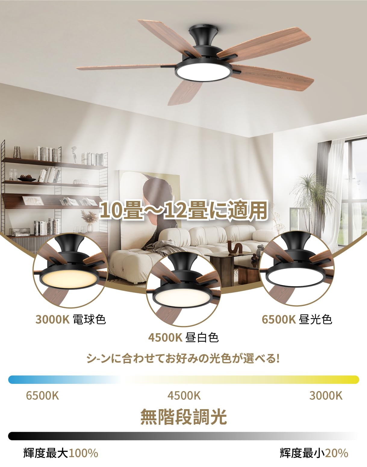 Amazon.co.jp : 【節電-5年保証】TALOYA シーリングファンライト調光