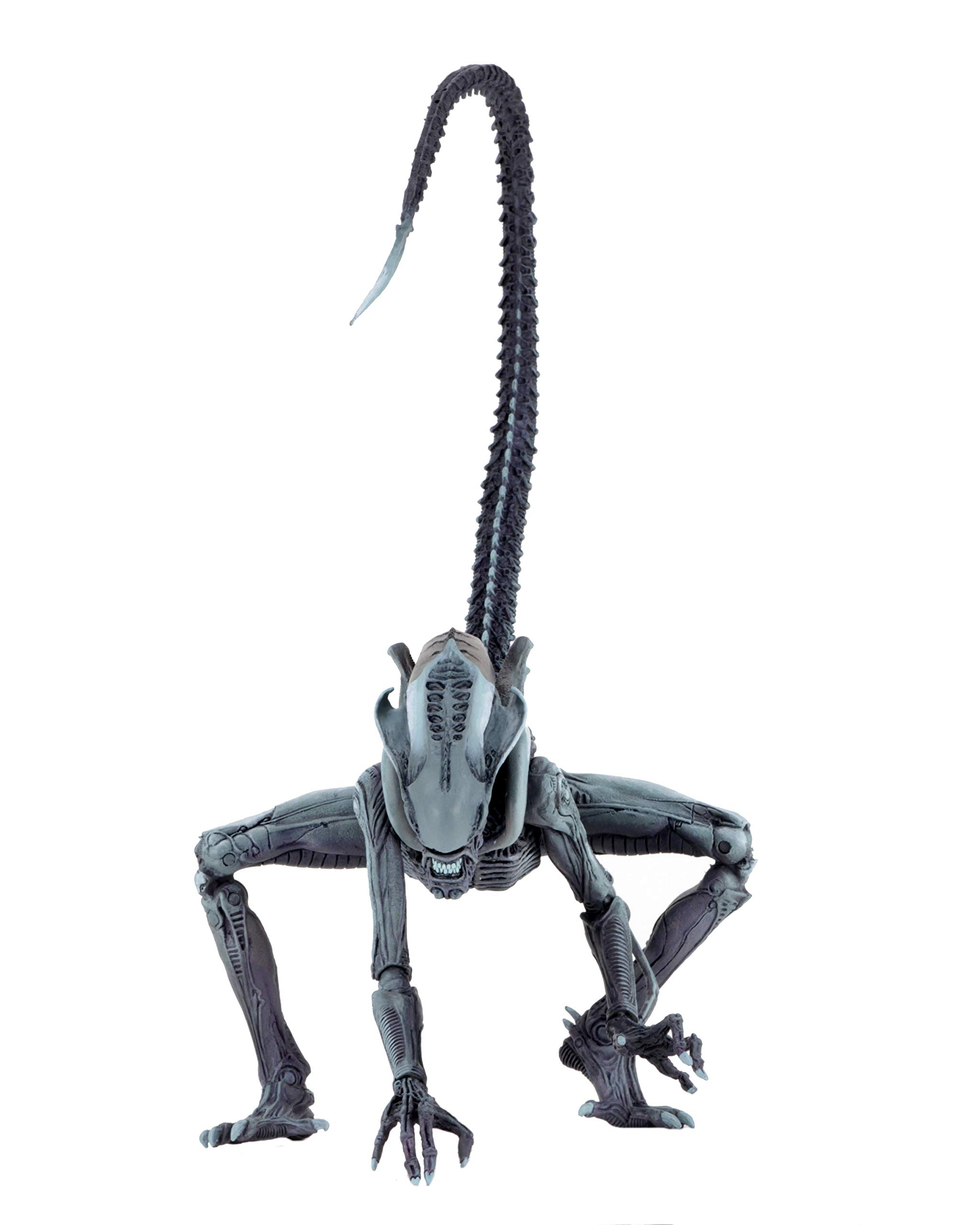 Amazon.co.jp: Aliens NECA Vs Predator Arcade Arachnoid Xenomorph