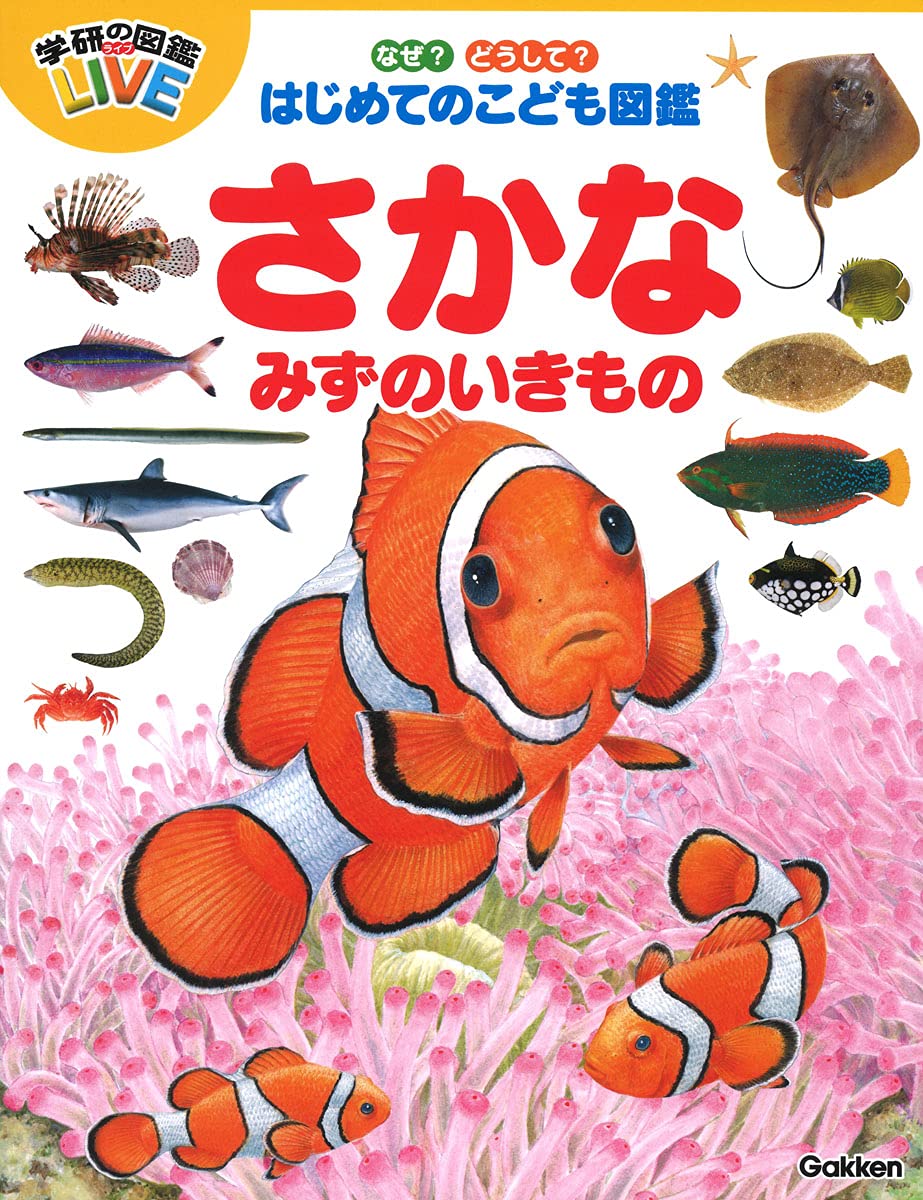 Amazon.co.jp: なぜ?どうして?はじめてのこども図鑑 さかな・みずの